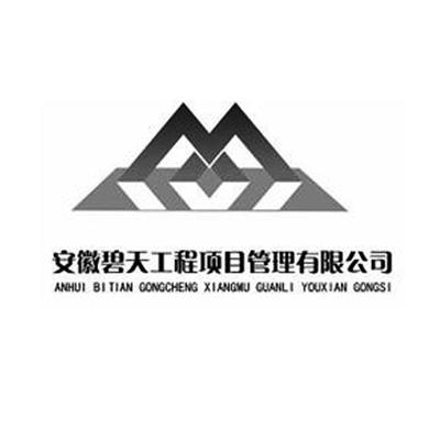 安徽碧天工程项目管理 引领卓越工程管理服务