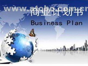 兰州智源工程项目管理 精准赋能张掖商业计划书撰写与软件开发服务